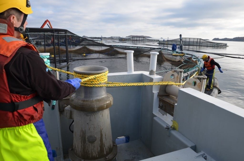 Capstan and Winch Training Course Breacan Training